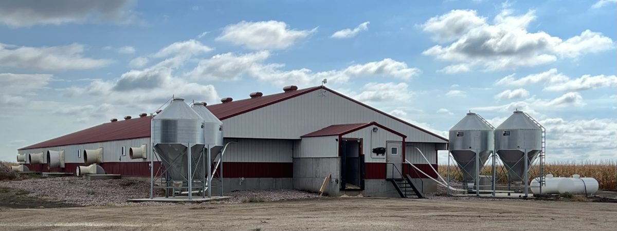 Hog Barn near Mount Vernon