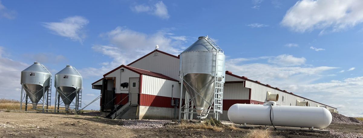 Hog Barn near Mount Vernon