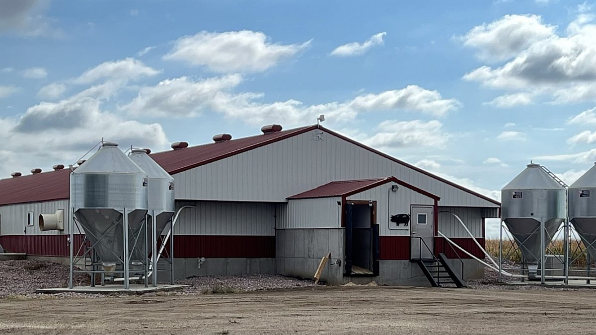 Hog Barn near Mount Vernon