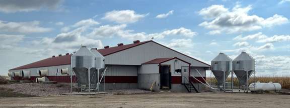Hog Barn near Mount Vernon
