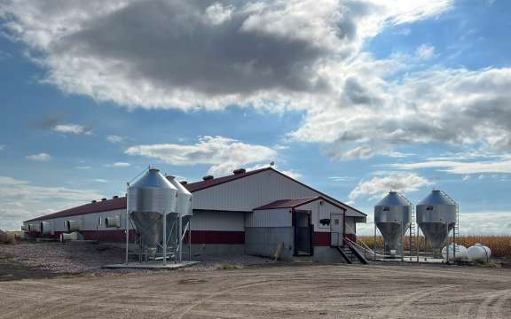 Hog barn near Mount Vernon