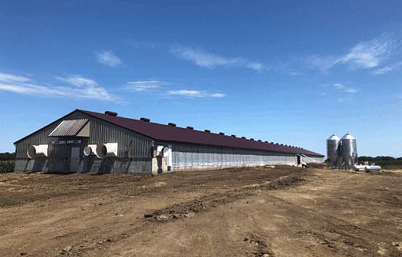 Hog Confinement Finishing Barn