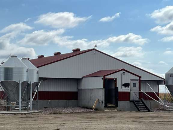 Hog Barn near Mount Vernon