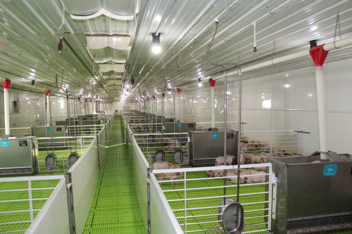 Hog Barn near Mount Vernon