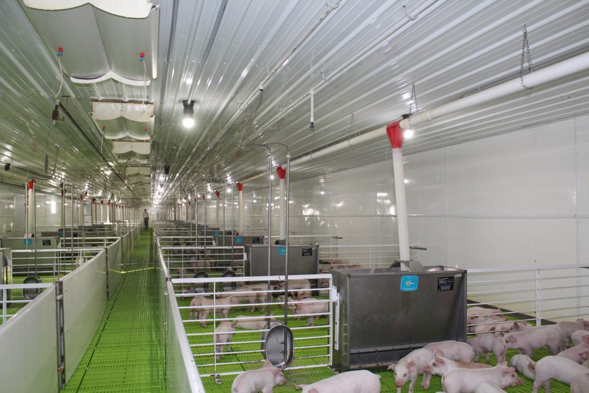 Hog Barn near Mount Vernon