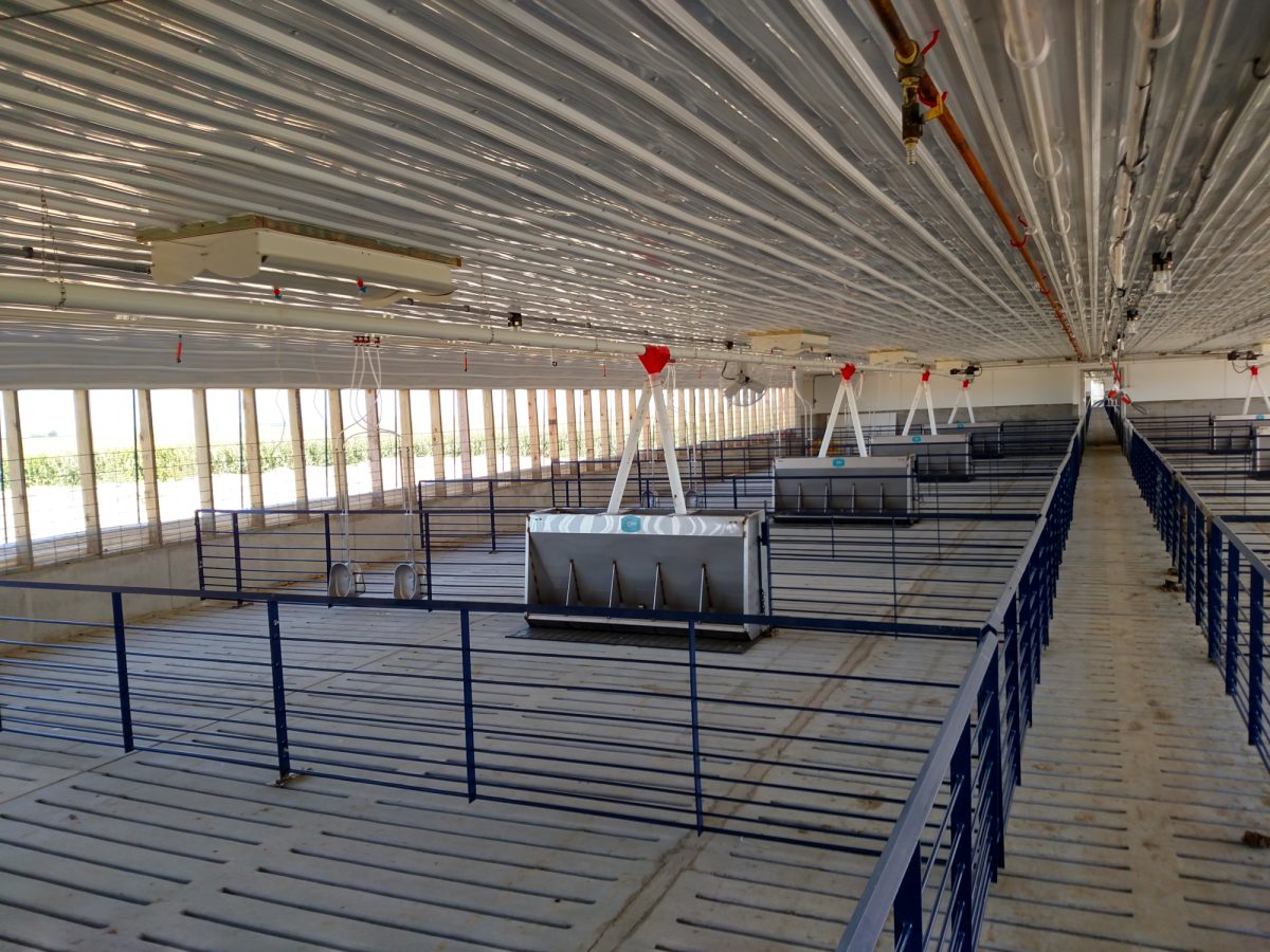 IMG 20150903 125945935 HDR