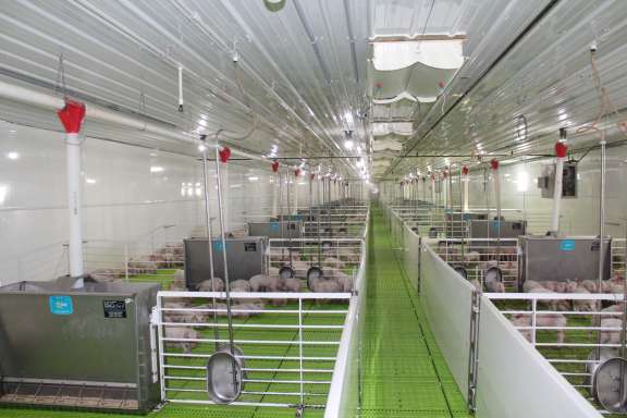 Hog Barn near Mount Vernon
